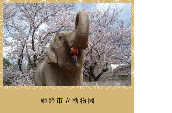 姫路市立動物園