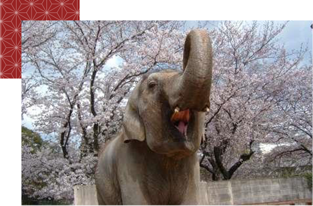 動物園